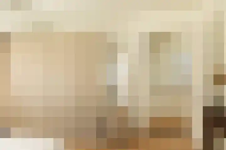 Johan de Wittstraat 43 Hilversum thumbnail 17