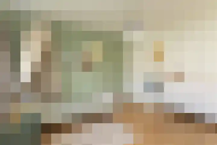 Johan de Wittstraat 43 Hilversum thumbnail 18