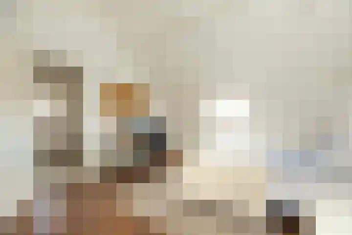 Johan de Wittstraat 43 Hilversum thumbnail 25