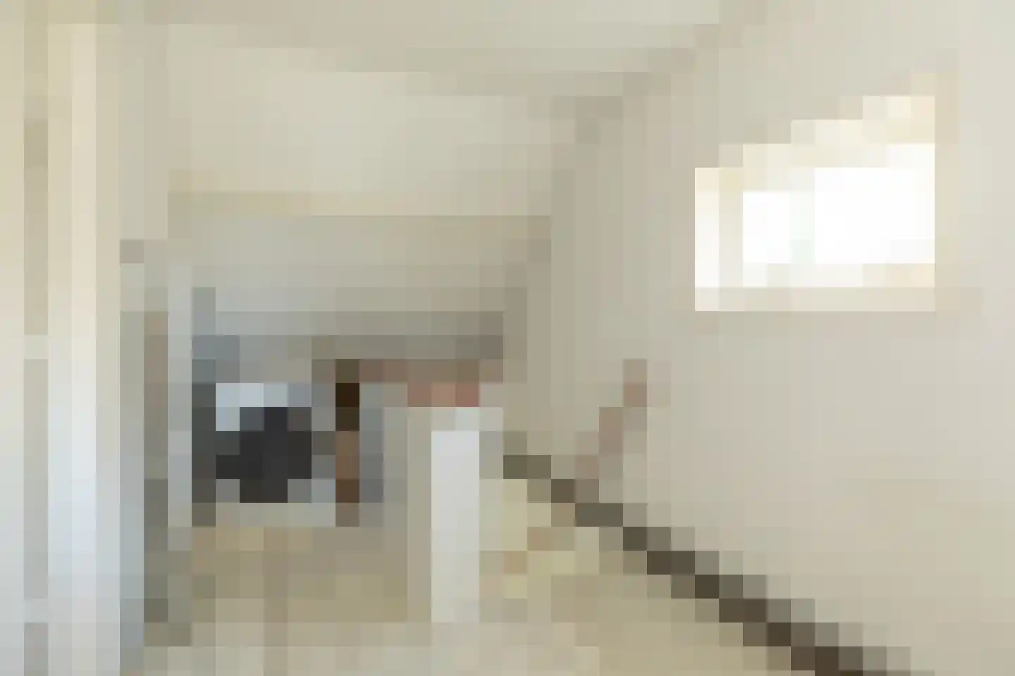 Johan de Wittstraat 43 Hilversum thumbnail 27