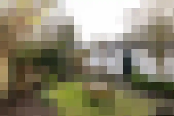 Johan de Wittstraat 43 Hilversum thumbnail 29