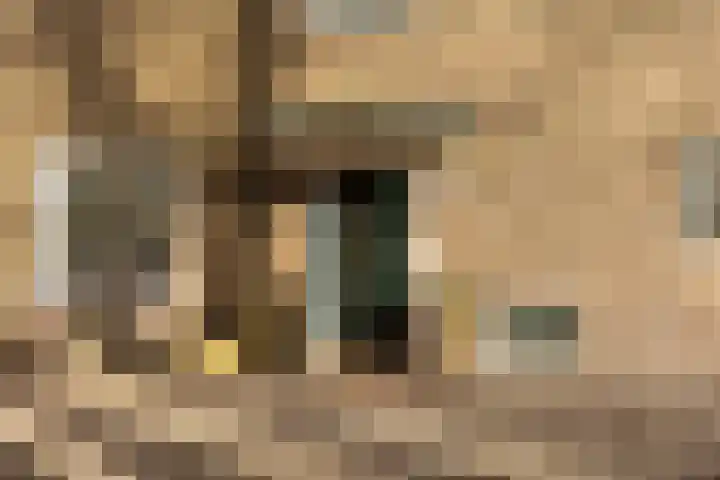 Johan de Wittstraat 43 Hilversum thumbnail 31