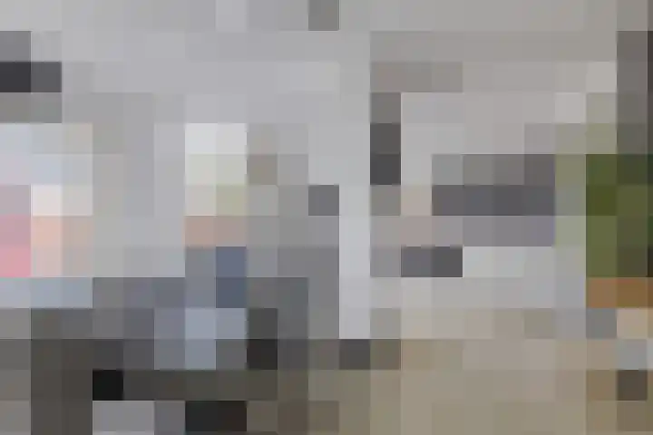Johan de Wittstraat 48 Bodegraven thumbnail 17