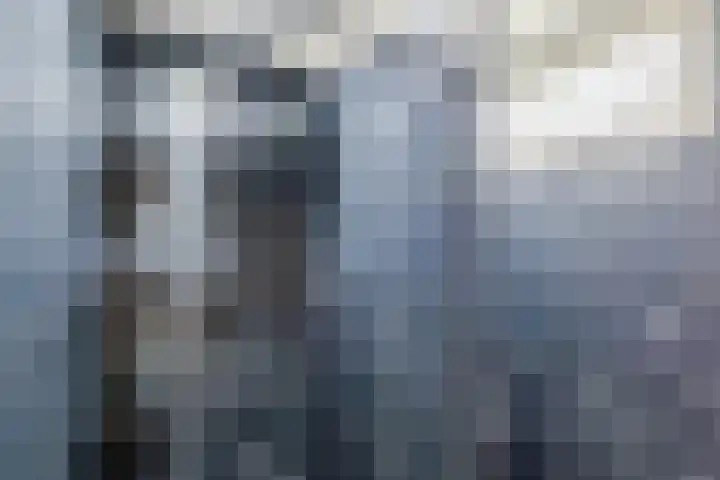 Johan de Wittstraat 48 Bodegraven thumbnail 35
