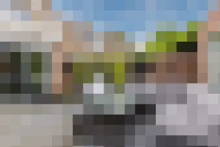 Johan de Wittstraat 48 Bodegraven thumbnail 44