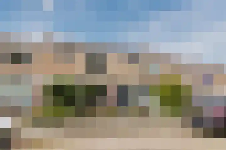 Johan de Wittstraat 48 Bodegraven thumbnail 47