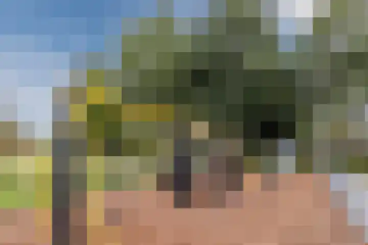 Johan de Wittstraat 48 Bodegraven thumbnail 53