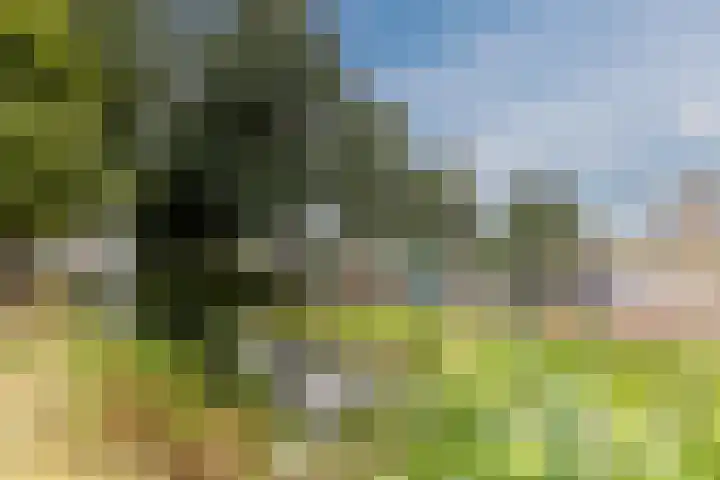 Johan de Wittstraat 48 Bodegraven thumbnail 54