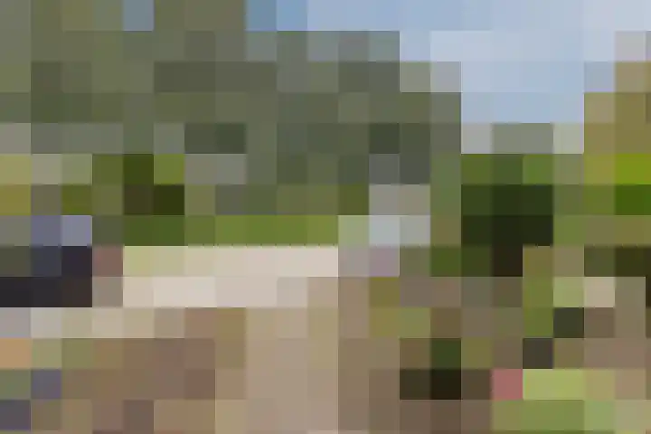 Johan de Wittstraat 48 Bodegraven thumbnail 6