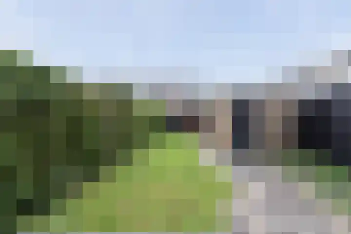 Johan de Wittstraat 54 Alblasserdam thumbnail 16