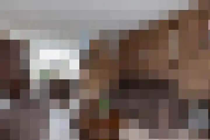 Johan de Wittstraat 54 Alblasserdam thumbnail 8