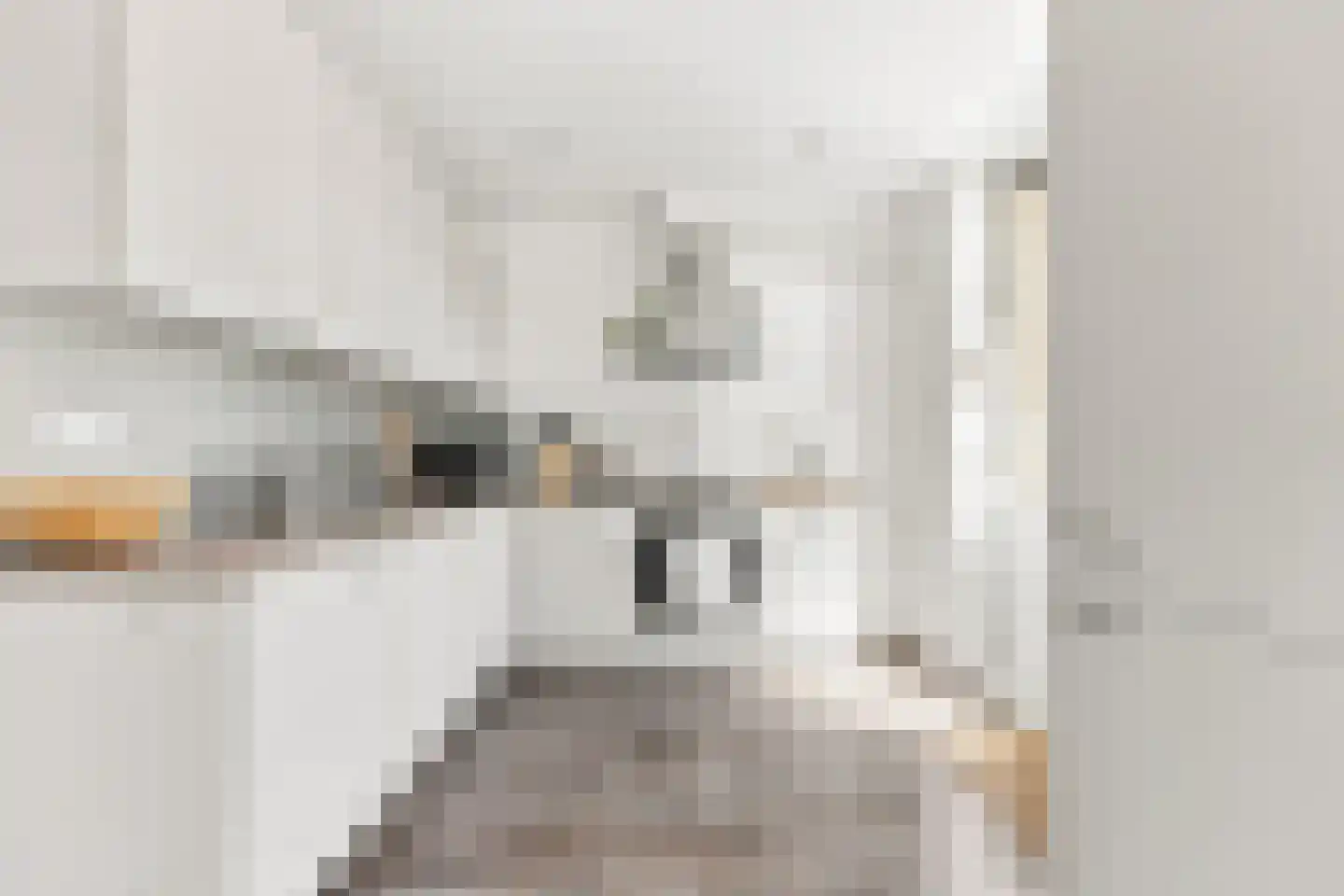 Johan de Wittstraat 56 Alblasserdam thumbnail 13
