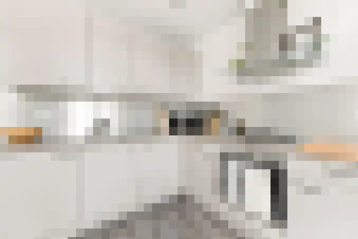 Johan de Wittstraat 56 Alblasserdam thumbnail 14