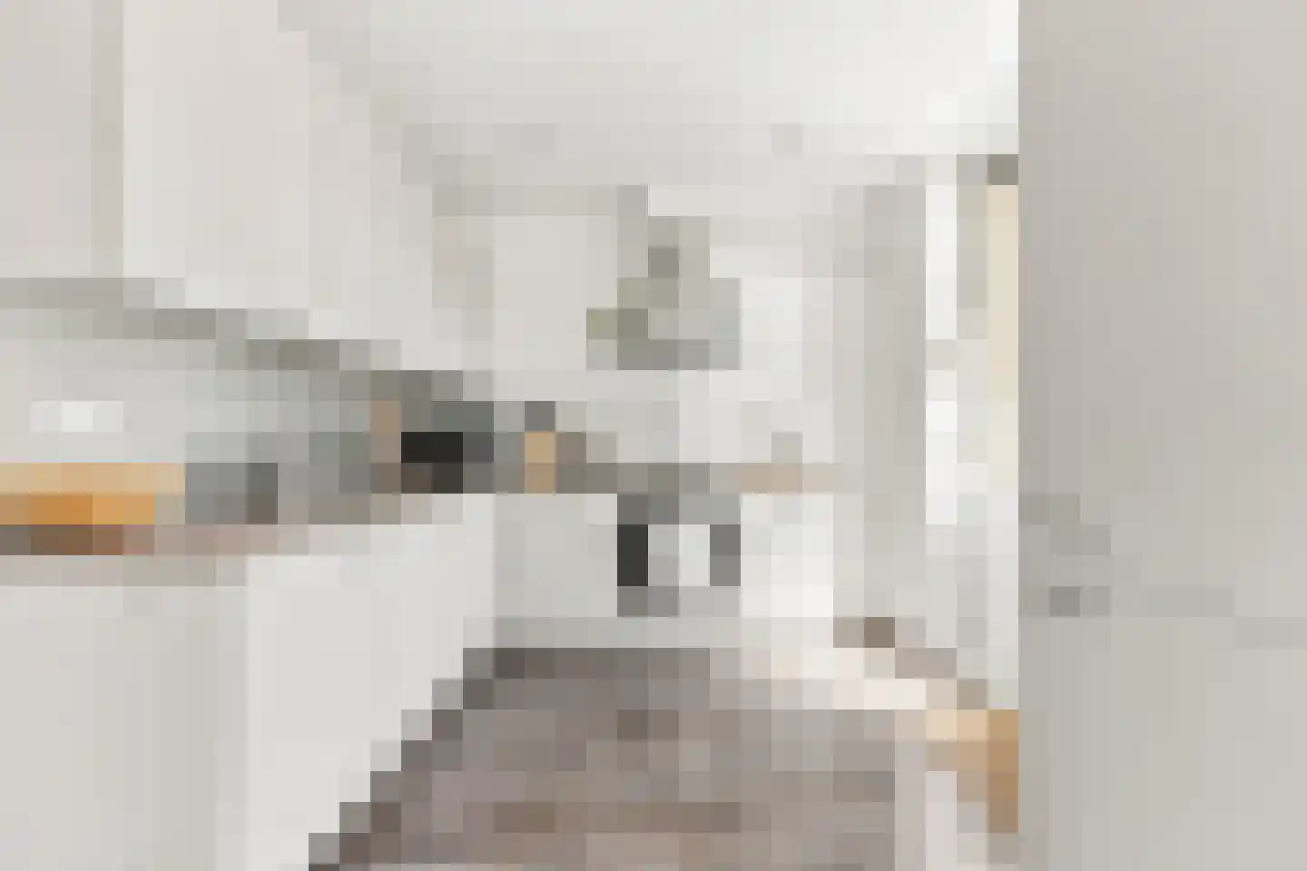 Johan de Wittstraat 56 Alblasserdam thumbnail 14