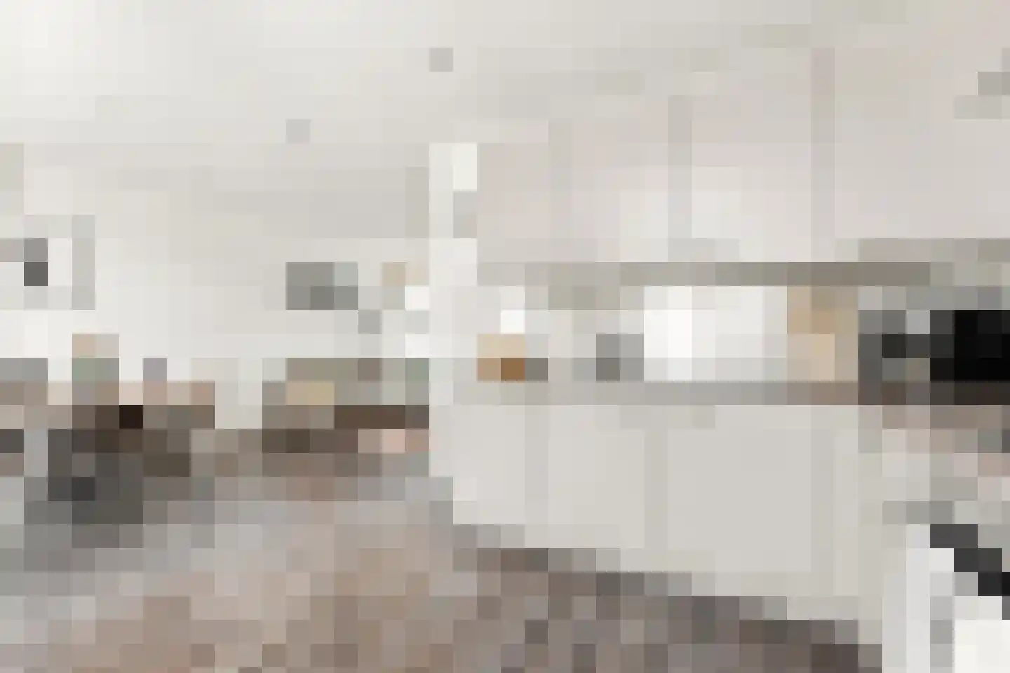 Johan de Wittstraat 56 Alblasserdam thumbnail 17