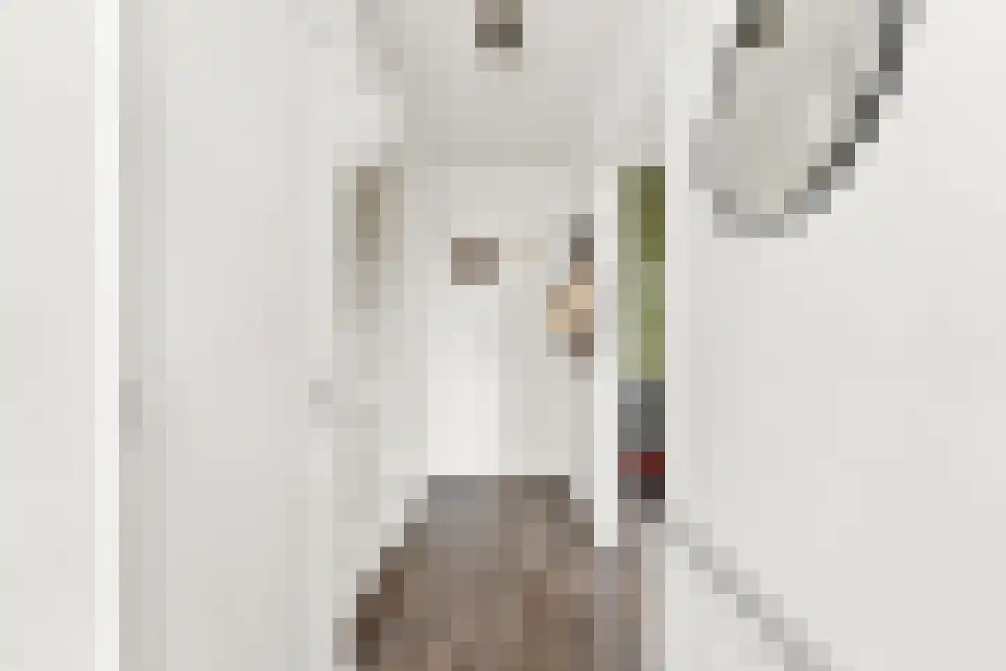 Johan de Wittstraat 56 Alblasserdam thumbnail 18