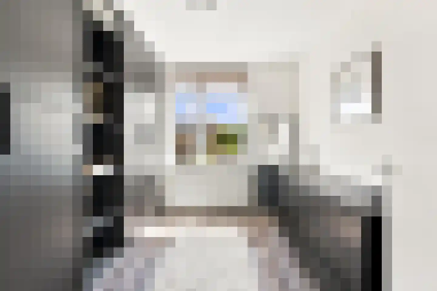 Johan de Wittstraat 56 Alblasserdam thumbnail 20