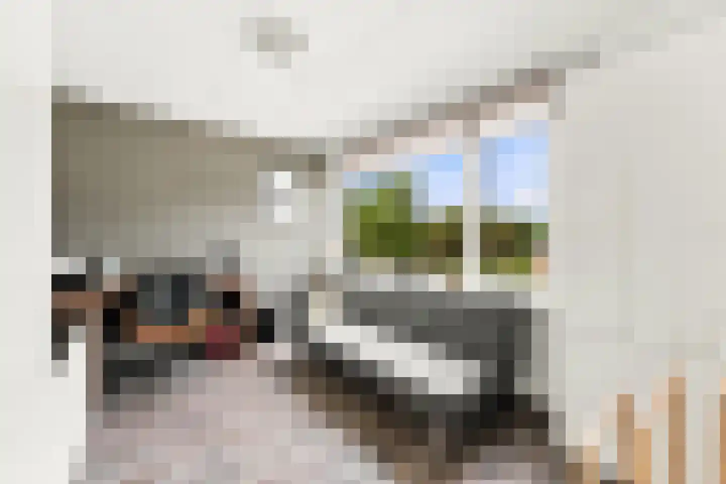 Johan de Wittstraat 56 Alblasserdam thumbnail 25