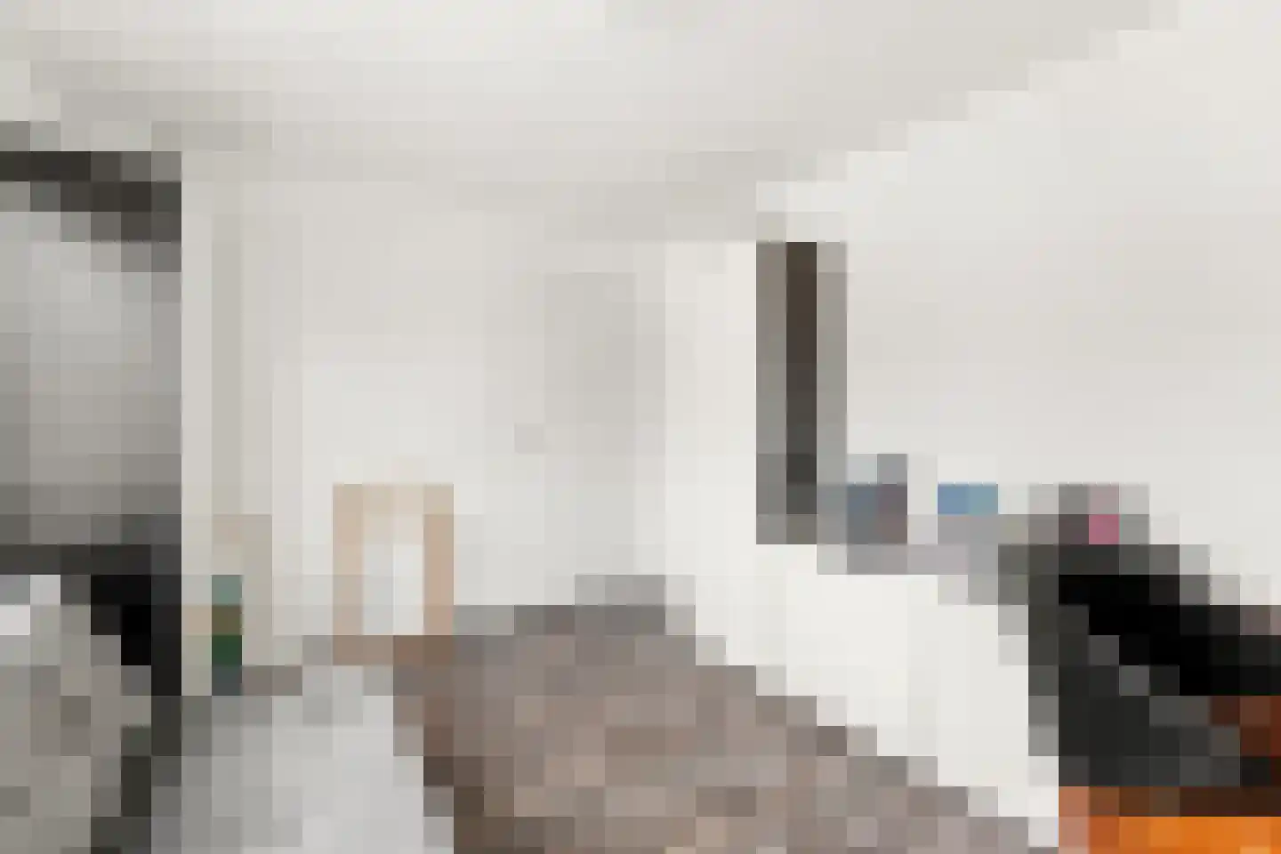 Johan de Wittstraat 56 Alblasserdam thumbnail 26