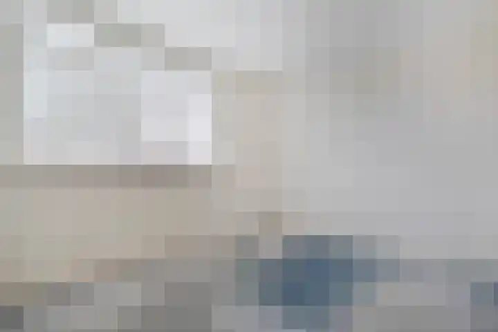 Johan de Wittstraat 6 Olst thumbnail 17