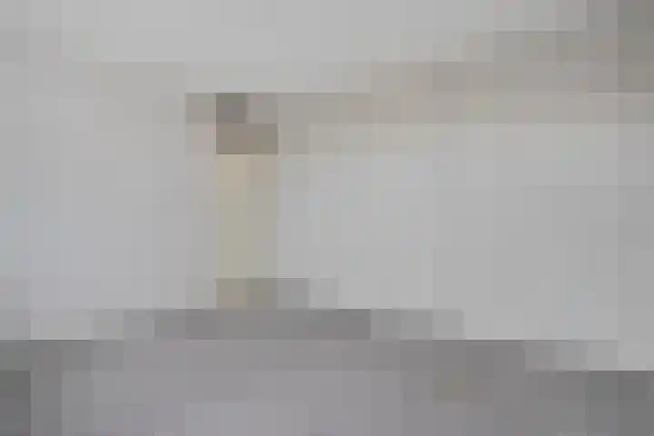 Johan de Wittstraat 6 Olst thumbnail 19