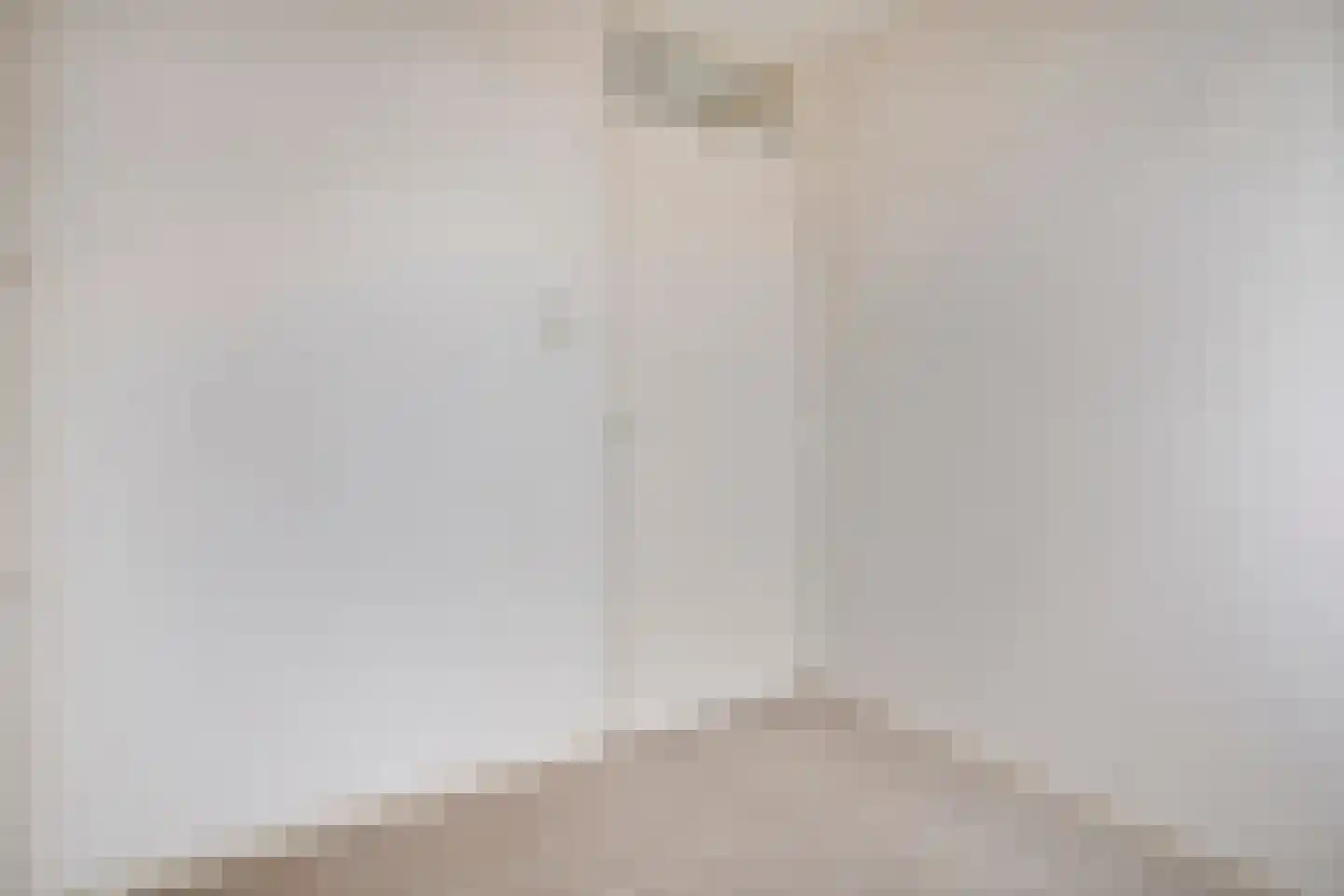Johan de Wittstraat 6 Olst thumbnail 21