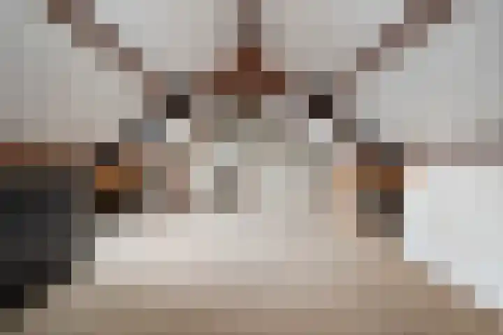 Johan de Wittstraat 6 Olst thumbnail 24