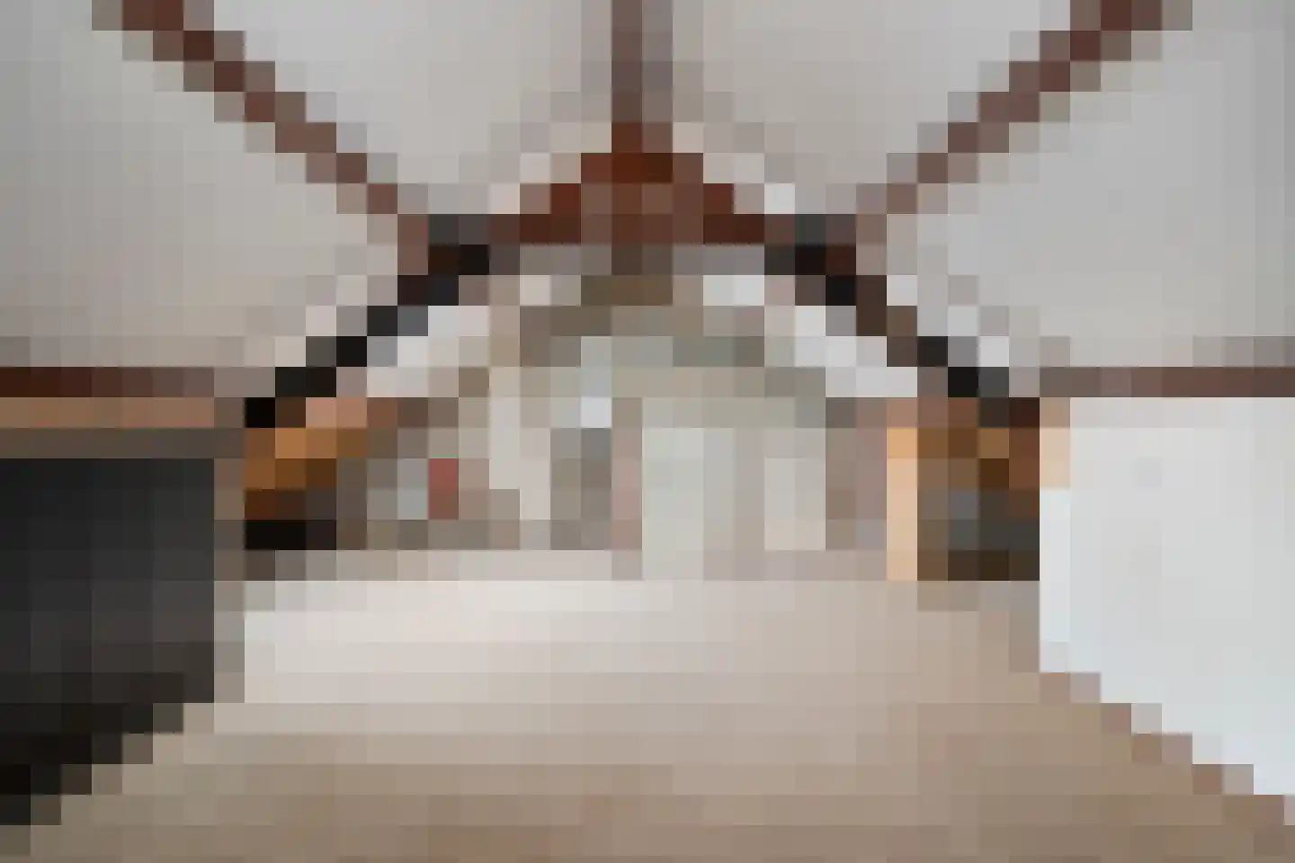 Johan de Wittstraat 6 Olst thumbnail 24