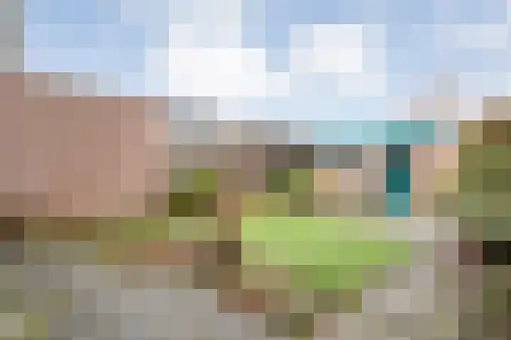 Johan de Wittstraat 6 Olst thumbnail 28