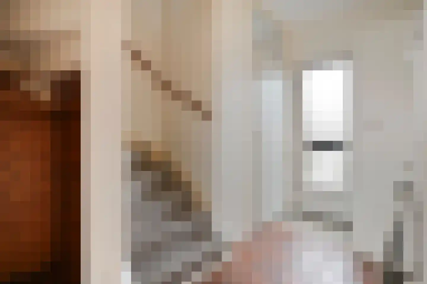 Johan de Wittstraat 6 Olst thumbnail 5