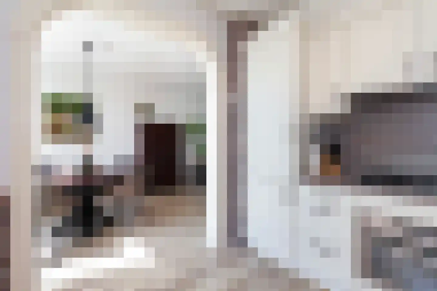 Johan de Wittstraat 60 Alblasserdam thumbnail 12