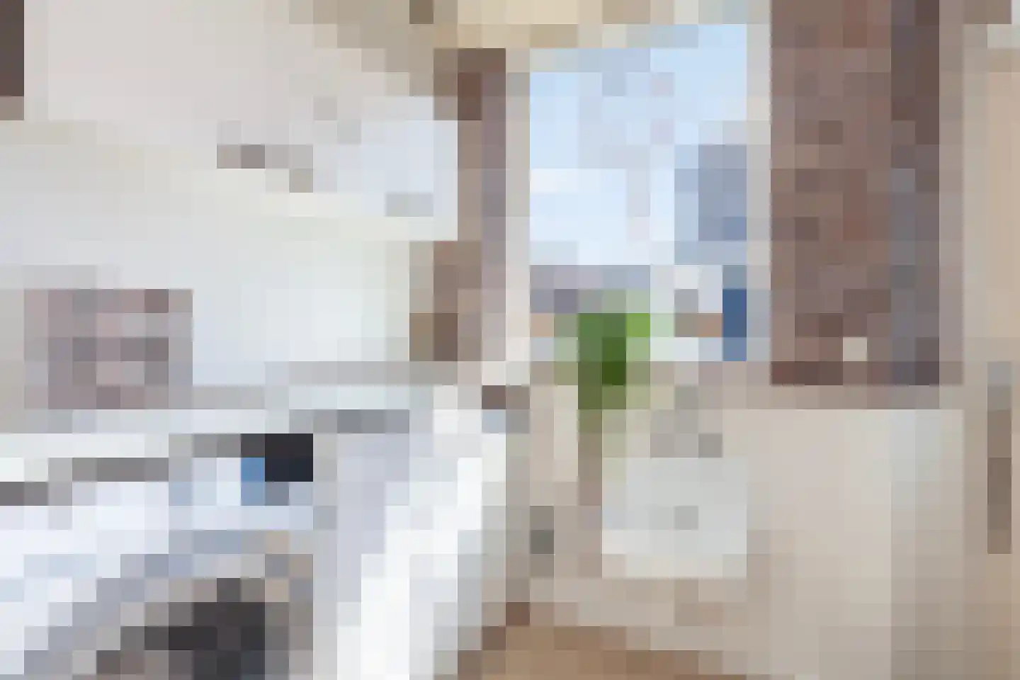 Johan de Wittstraat 60 Alblasserdam thumbnail 13