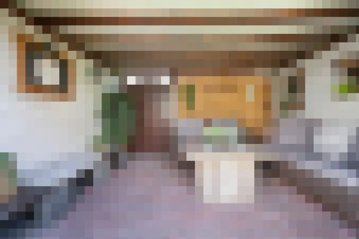 Johan de Wittstraat 60 Alblasserdam thumbnail 31