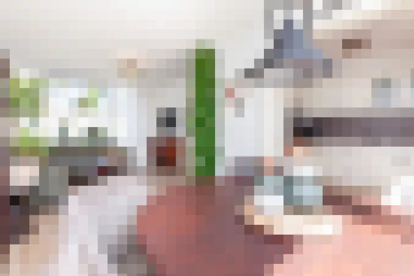 Johan de Wittstraat 60 Alblasserdam thumbnail 5