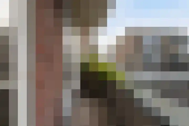 Johan de Wittstraat 61 Dordrecht thumbnail 5