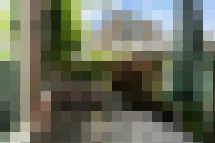 Johan de Wittstraat 63 Dordrecht thumbnail 29