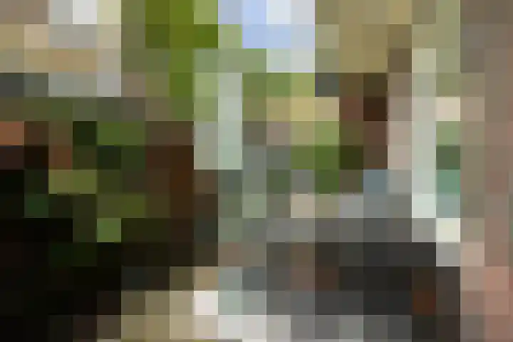 Johan de Wittstraat 63 Dordrecht thumbnail 30