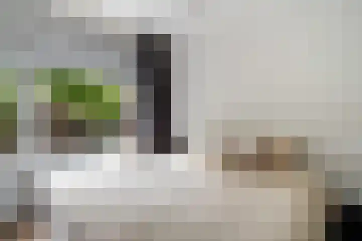 Johan de Wittstraat 63 Dordrecht thumbnail 32