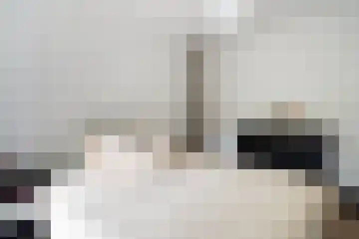 Johan de Wittstraat 63 Dordrecht thumbnail 33