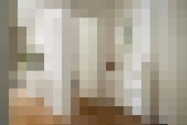 Johan de Wittstraat 63 Dordrecht thumbnail 4