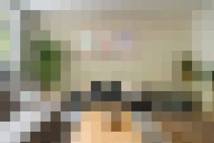 Johan de Wittstraat 63 Dordrecht thumbnail 8