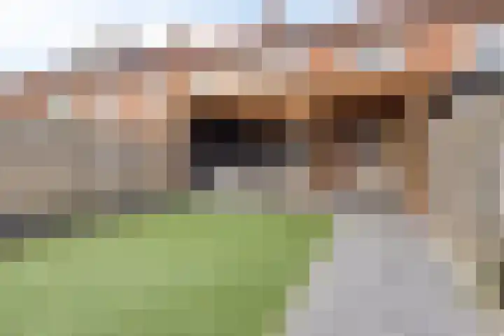 Johan de Wittstraat 70 Apeldoorn thumbnail 13