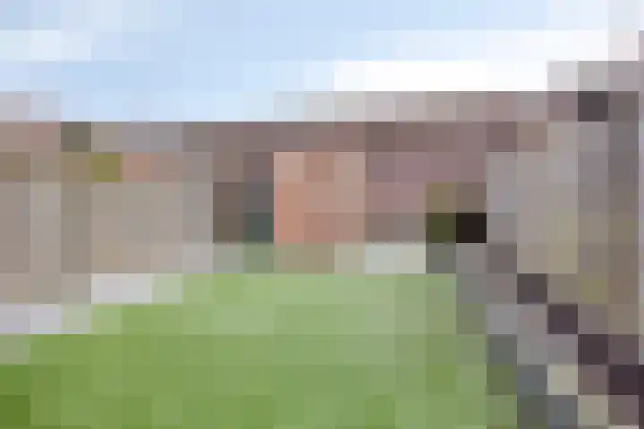 Johan de Wittstraat 70 Apeldoorn thumbnail 16