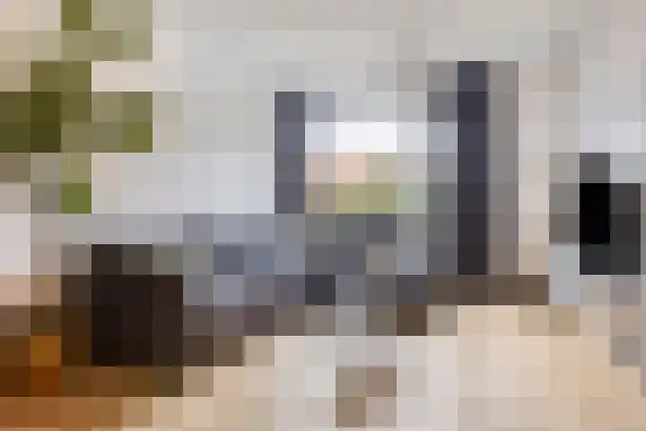 Johan de Wittstraat 70 Apeldoorn thumbnail 8