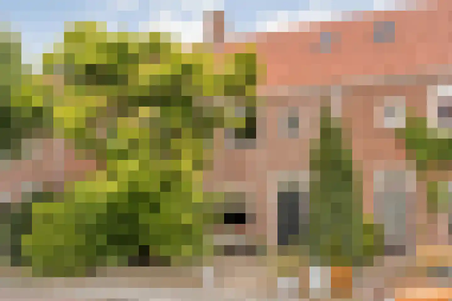 Johan de Wittstraat 8 in Zwolle