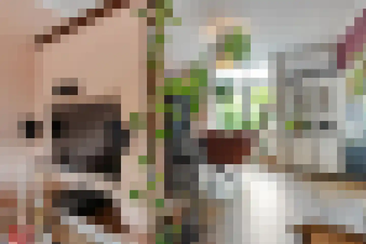 Johan de Wittstraat 8 Zwolle thumbnail 17