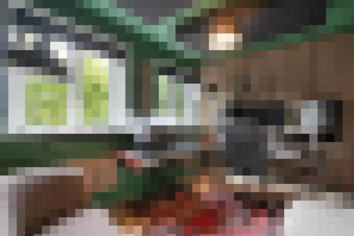 Johan de Wittstraat 8 Zwolle thumbnail 24