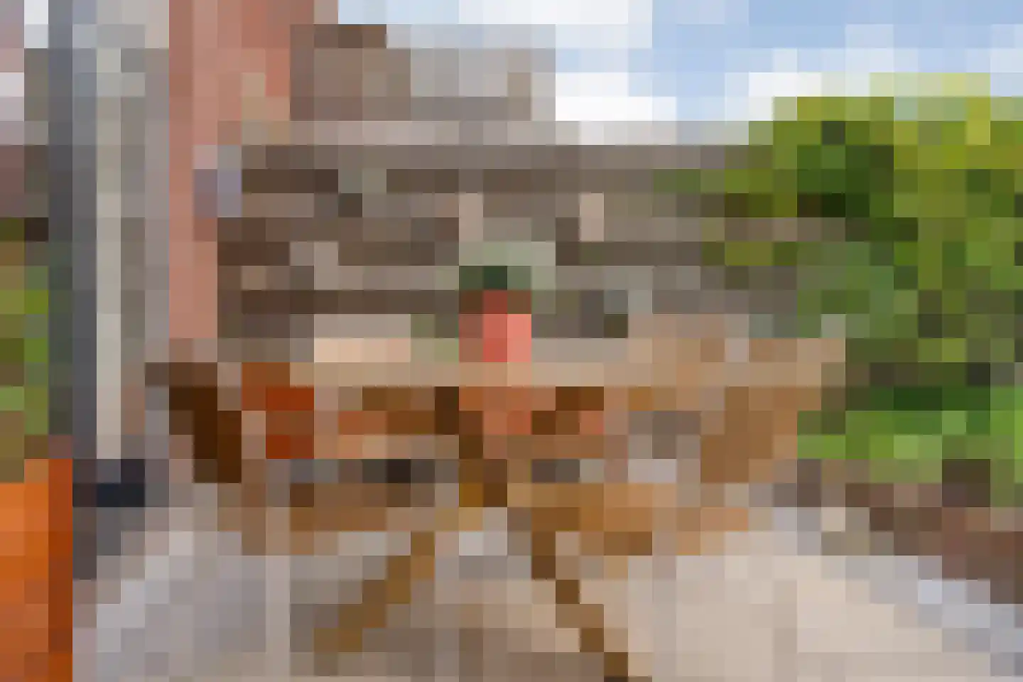 Johan de Wittstraat 8 Zwolle thumbnail 34