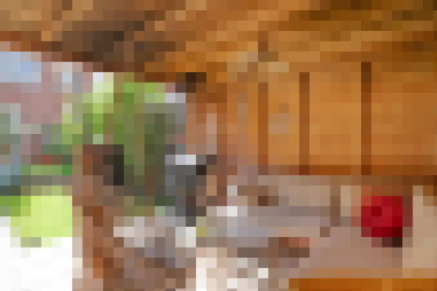 Johan de Wittstraat 8 Zwolle thumbnail 38