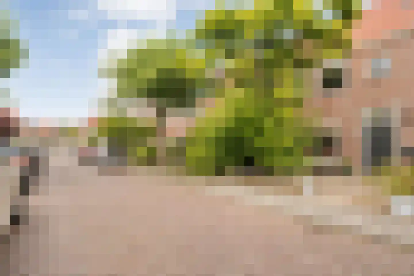 Johan de Wittstraat 8 Zwolle thumbnail 4